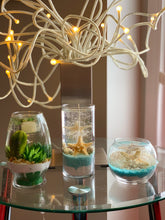 Load image into Gallery viewer, Seashell Gel Candle Cylinder Shape Scent 20 oz