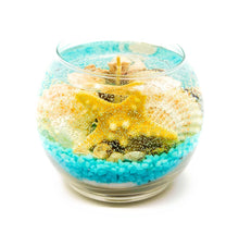 Load image into Gallery viewer, Seashell Gel Candle with Ocean Breeze Scent 15 oz, Gift Candle, Centerpiece by Youstina Naturals
