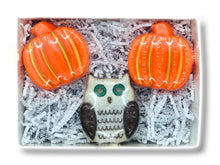 Load image into Gallery viewer, Natural Fall Soaps Gift Set with Coconut milk and Country Pumpkin scent / Thanksgiving Guest soap decor / Halloween Mini Bar
