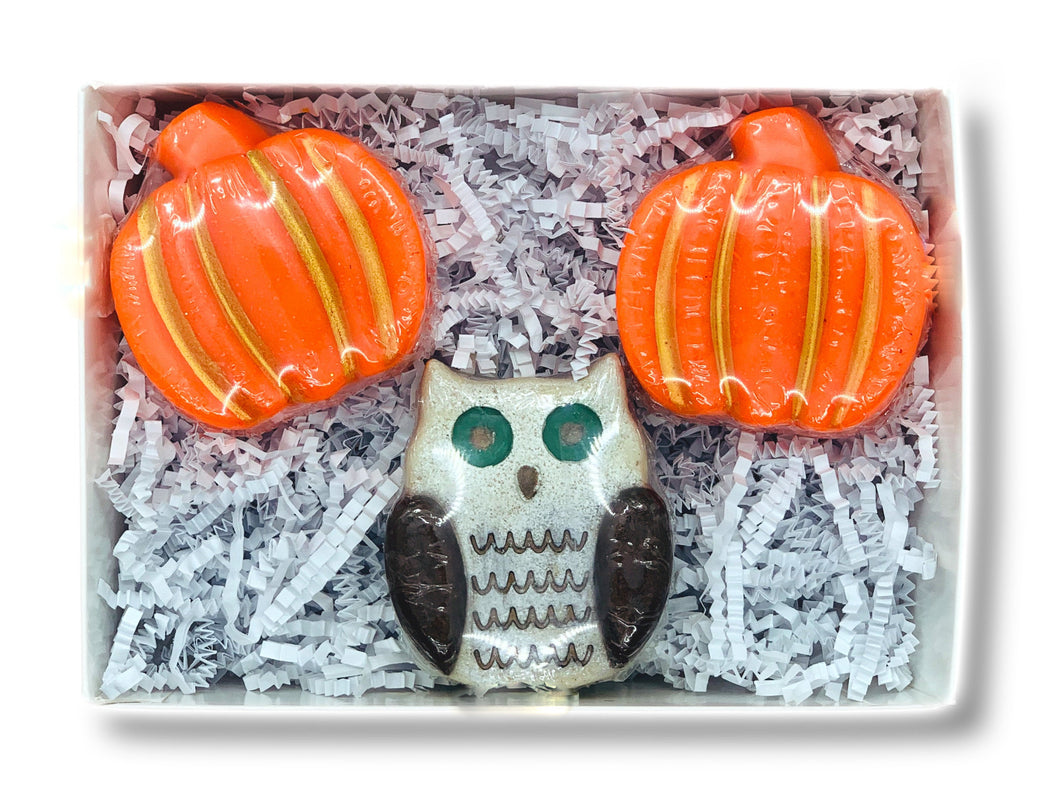 Natural Fall Soaps Gift Set with Coconut milk and Country Pumpkin scent / Thanksgiving Guest soap decor / Halloween Mini Bar